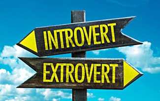 Интроверты и Экстраверты